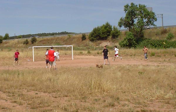 DSC08338