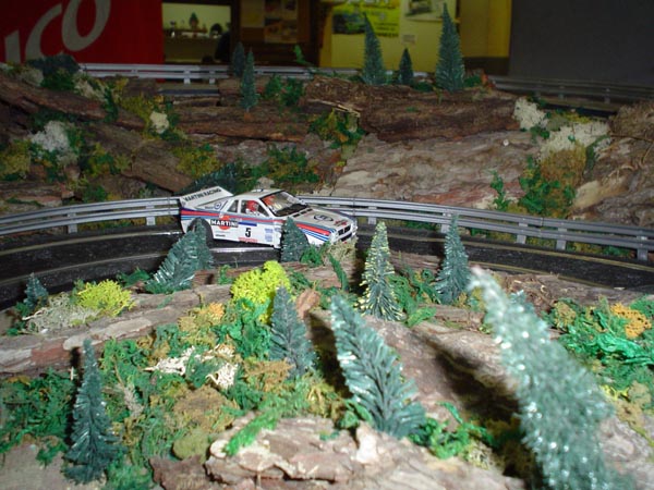 DSC07217