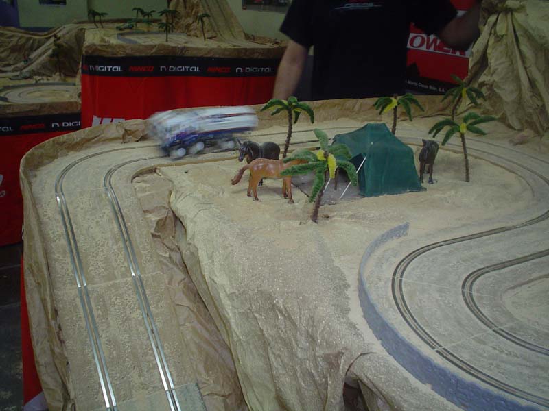 DSC09466