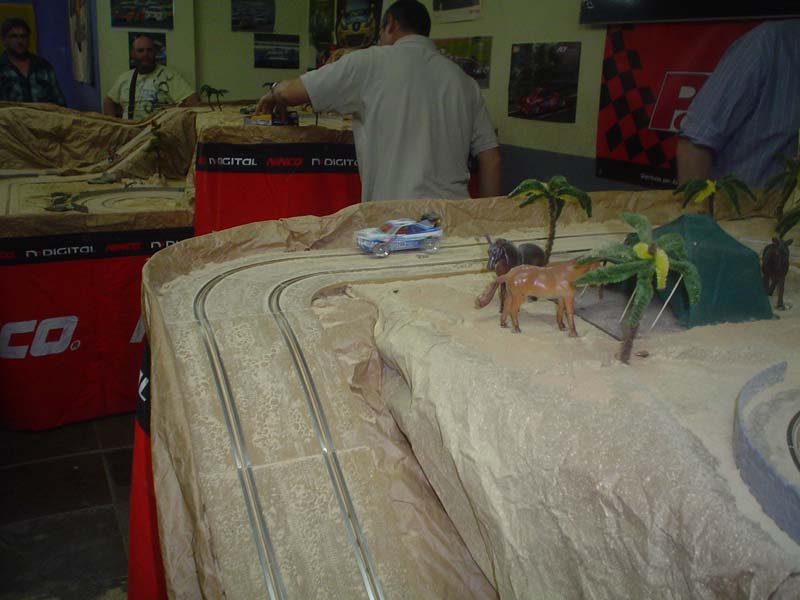 DSC09488