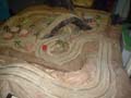 DSC09510